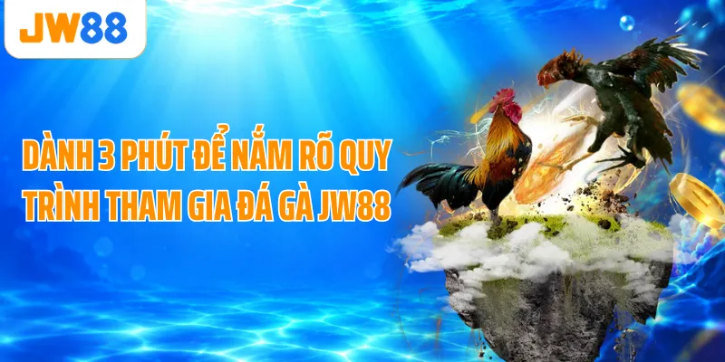 Dành 3 phút để nắm rõ quy trình tham gia đá gà JW88